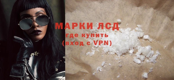 прущие грибы Балахна