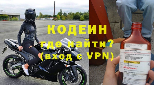 прущие грибы Балахна
