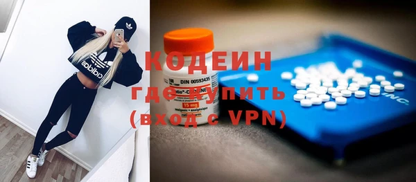 прущие грибы Балахна