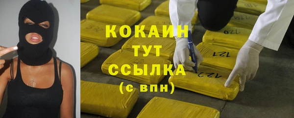 сатива Баксан