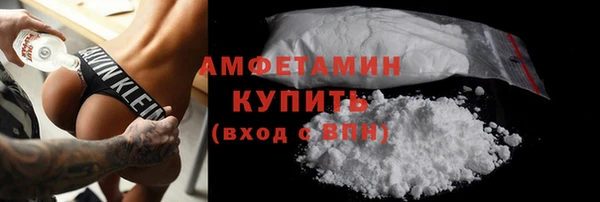 прущие грибы Балахна