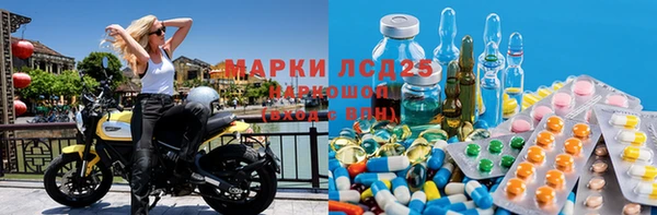 сатива Баксан
