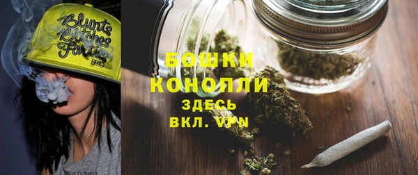 прущие грибы Балахна
